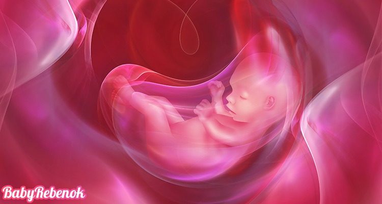 Низкое предлежание плаценты при беременности: Чем опасно?