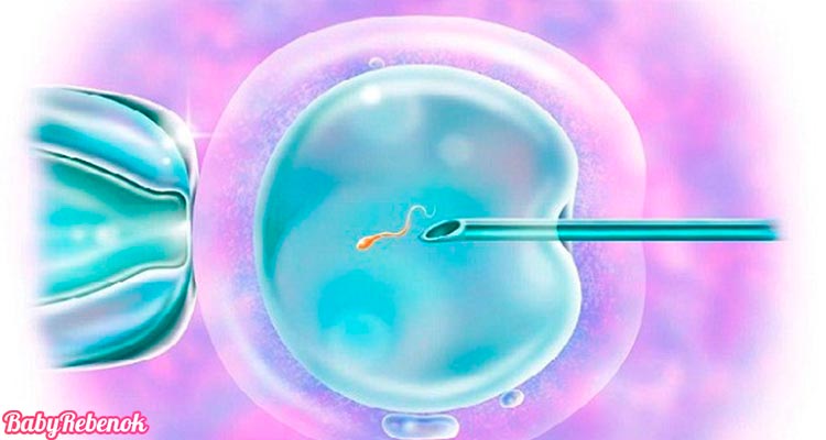 На какой день происходит имплантация эмбриона после ЭКО